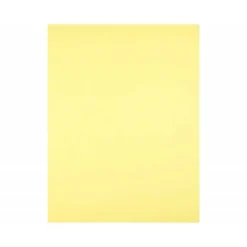 Cartulina Liderpapel color Amarillo Medio 50x65 cm 180 gr 25 unidades