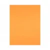 Cartulina Liderpapel color Nectarina 50x65 cm 180 gr 25 unidades