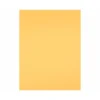 Cartulina Liderpapel color Oro 50x65 cm 180 gr