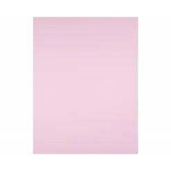 Cartulina Liderpapel color rosa 180 g/m2