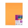 Cartulina Liderpapel Nectarina 50x65 cm 240 gr Paquete de 25 unidades