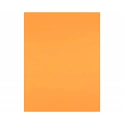 Cartulina Liderpapel Nectarina 50x65 cm 240 gr Paquete de 25 unidades