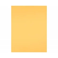 Cartulina Liderpapel Oro 50x65 cm 240 gr Paquete de 25 unidades