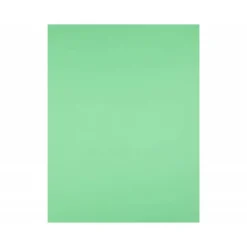 Cartulina Liderpapel Verde Pistacho 50x65 cm 240 gr Paquete de 25 unidades