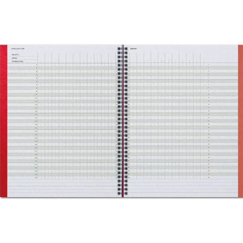 CUADERNO AULA PLANNER ADDITIO DIN A4 160 PAGINAS PLAN ANUAL Y MENSUAL CON PROGRAMCION Y EVALUACION