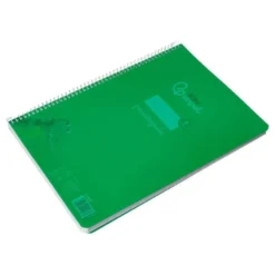 CUADERNO ESPIRAL LIDERPAPEL DIN A4 PAUTAGUIA TAPA PLASTICO 80H 90GR CUADRO PAUTADO 4MM CON MARGEN COLOR VERDE