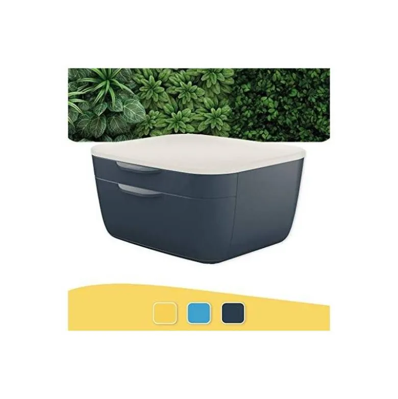 FICHERO CAJONES DE SOBREMESA LEITZ COSY 2 CAJONES GRIS