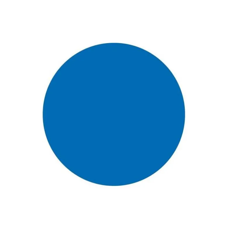 GOMETS LIDERPAPEL AUTOADHESIVO S CIRCULOS 15 MM AZUL ROLLO DE 2500 UNIDADES EN CAJA DE CARTON