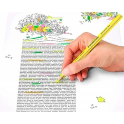 Lapices Fluorescentes Staedtler Triangular Top Star Amarillo Caja de 12 unidades