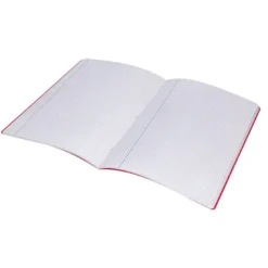 Libreta liderpapel 360 A4 48 hojas de 90gr/m2 cuadriculado 3mm (NO SE PUEDE ELEGIR COLOR)