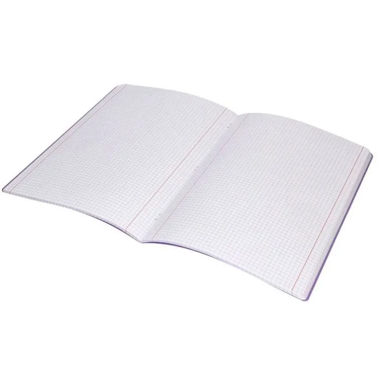 LIBRETA LIDERPAPEL 360 TAPA DE PLASTICO A4 48 HOJAS 90G/M2 CUADRO 4 MM CON MARGEN COLORES PASTEL SURTIDOS