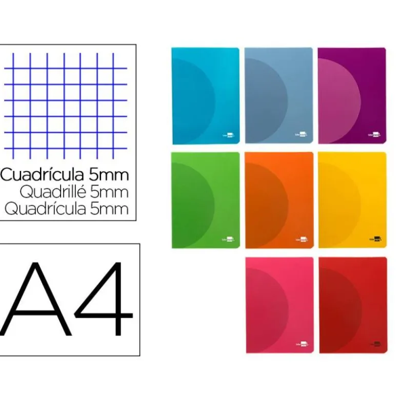LIBRETA LIDERPAPEL 360 TAPA DE PLASTICO A4 48 HOJAS 90G/M2 5MM CON DOBLE MARGEN COLORES SURTIDOS