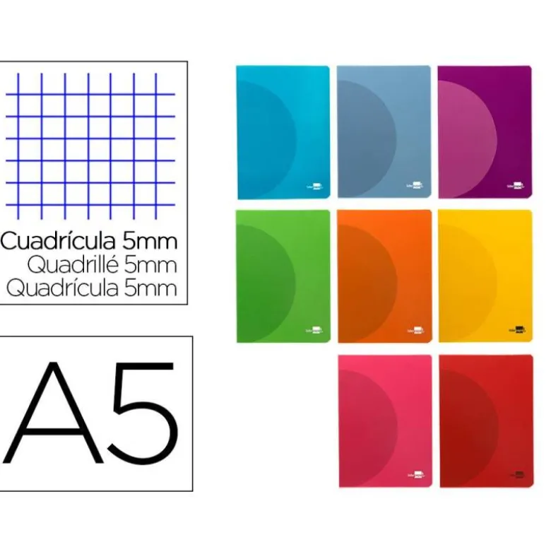 LIBRETA LIDERPAPEL 360 TAPA DE PLASTICO A5 48 HOJAS 90G/M2 5MM CON DOBLE MARGEN COLORES SURTIDOS