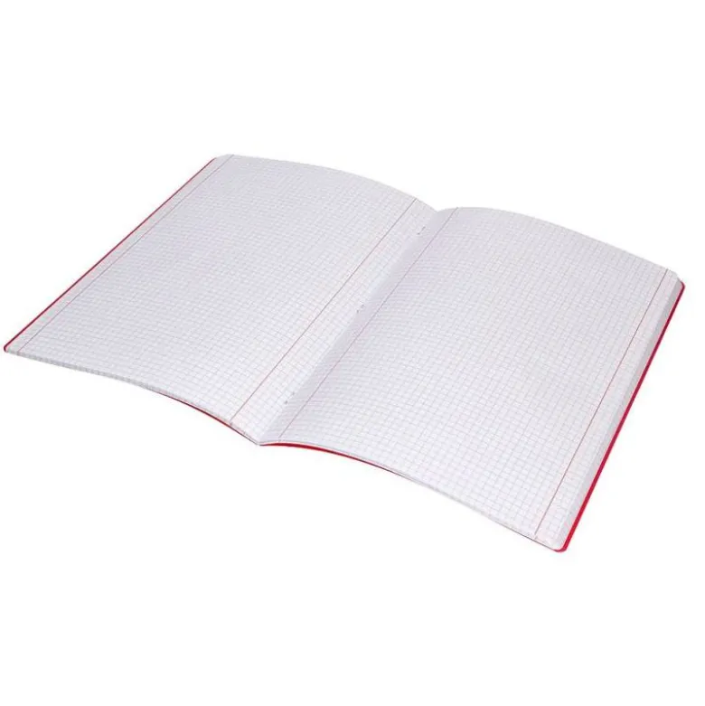 LIBRETA LIDERPAPEL 360 TAPA DE PLASTICO A5 48 HOJAS 90G/M2 5MM CON DOBLE MARGEN COLORES SURTIDOS