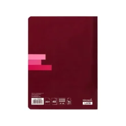 Libreta escolar Liderpapel serie Scriptus 48 hojas Din A5 nº 46
