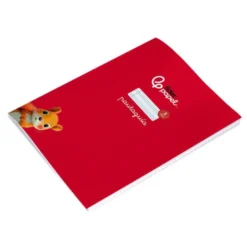 LIBRETA LIDERPAPEL PAUTAGUIA TAPA CARTONCILLO 32H DIN A4 75GR CUADRICULADO PAUTADO 3MM CON MARGEN 6 COLORES SURTIDOS
