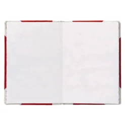 LIBRO CARTONE COSIDO FERNANDES FLECHA DIN A5+ LISO 50 HOJAS 100 GR ROJO