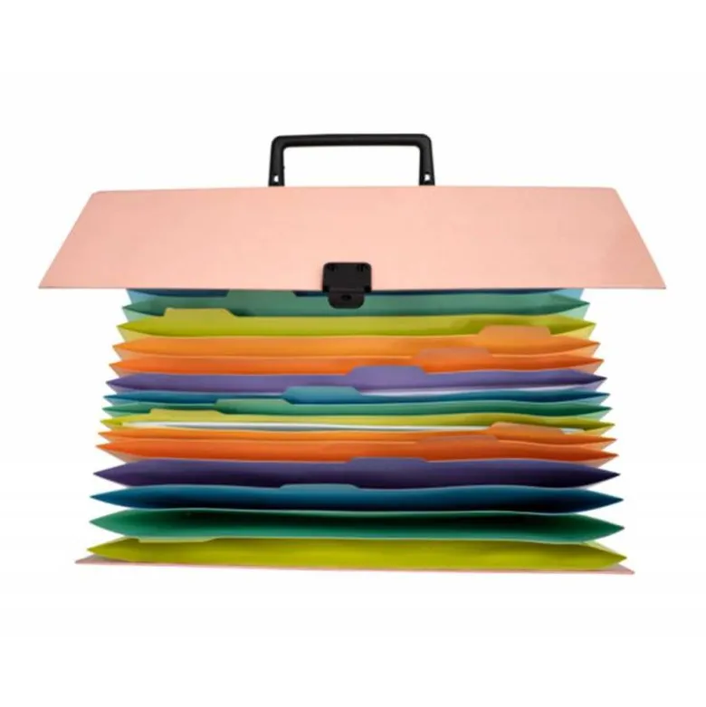 MALETIN EXACOMPTA AQUAREL CON FUELLE CARTON FORRADO 18 DEPARTAMENTOS COLORES SURTIDOS