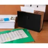 MALETIN LIDERPAPEL CON FUELLE Y ASA CARTON FORRADO 19 DEPARTAMENTOS 255X390X120 MM COLOR NEGRO