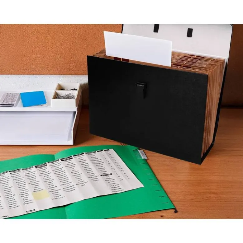 MALETIN LIDERPAPEL CON FUELLE Y ASA CARTON FORRADO 19 DEPARTAMENTOS 255X390X120 MM COLOR NEGRO