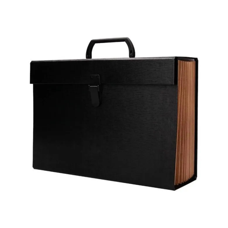 MALETIN LIDERPAPEL CON FUELLE Y ASA CARTON FORRADO 19 DEPARTAMENTOS 255X390X120 MM COLOR NEGRO