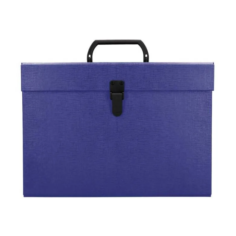 MALETIN LIDERPAPEL CON FUELLE Y ASA CARTON FORRADO 19 DEPARTAMENTOS 255X390X120 MM COLOR AZUL