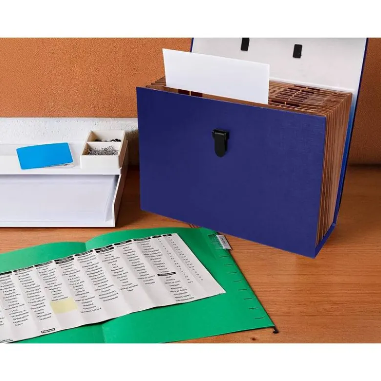MALETIN LIDERPAPEL CON FUELLE Y ASA CARTON FORRADO 19 DEPARTAMENTOS 255X390X120 MM COLOR AZUL