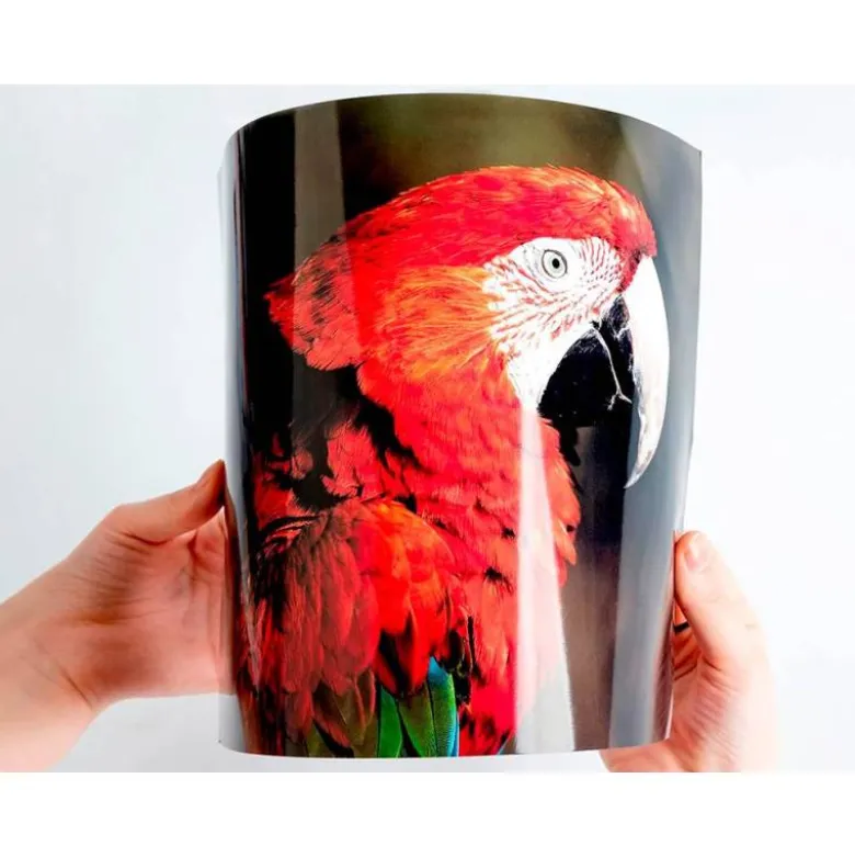 Papel Q-Connect foto glossy kf02163 Din A4 alta calidad digital photo. Bolsa de 20 hojas de 260 gr.