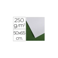 Papel secante marca Canson 65x50 cm 250g/m2