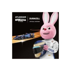 Pila alcalina Duracell C