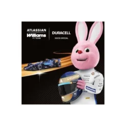 Pila alcalina Duracell D