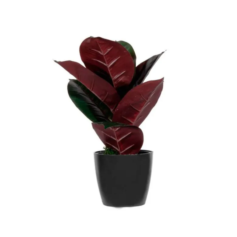 PLANTA ARTIFICIAL PAPERFLOW FICUS ELASTICA 36 CM
