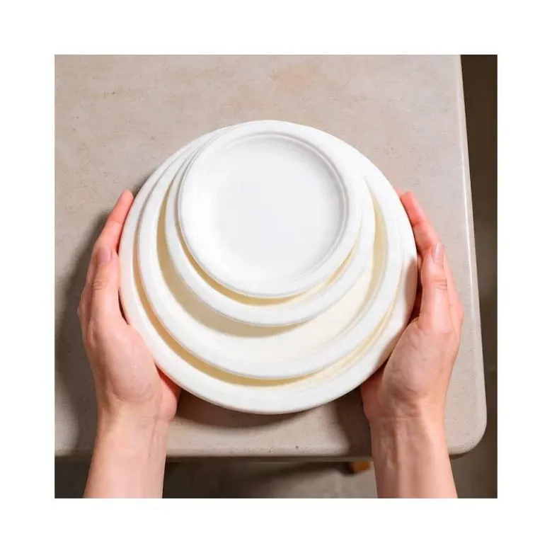 PLATO DE FIBRA BIO 22 CM DIAMETRO PAQUETE DE 50 UNIDADES
