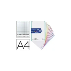 Recambio color Oxford DIN A4 160 hojas 90 gr optik paper cuadro 5 mm 4 taladros banda de 10 colores.