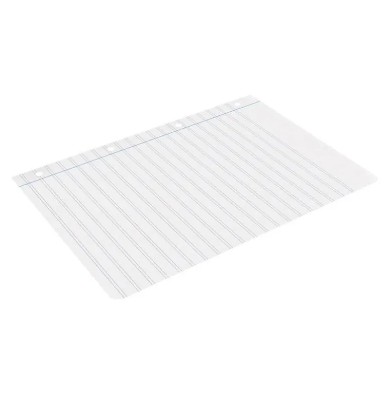 RECAMBIO LIDERPAPEL A4 100 HOJAS 100G/M2 PAUTA 4 3,5MM CON MARGEN 4 TALADROS