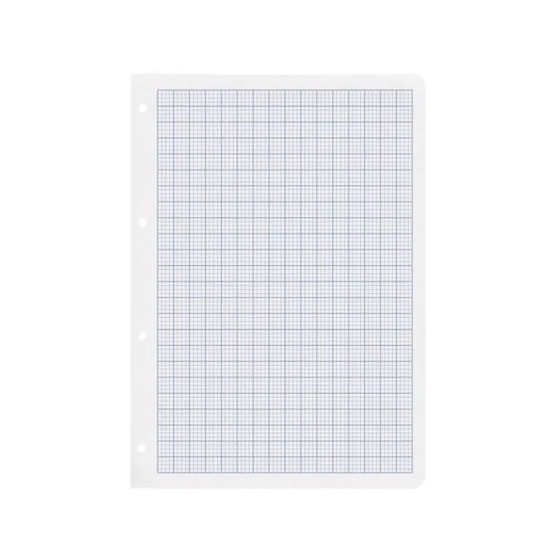 RECAMBIO LIDERPAPEL A4 100 HOJAS 75GR RAYADO Nº46 4 TALADROS