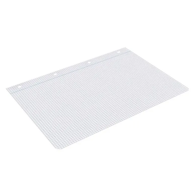 RECAMBIO LIDERPAPEL A4 100 HOJAS 100G/M2 CUADRO 5 MM CON MARGEN 4 TALADROS