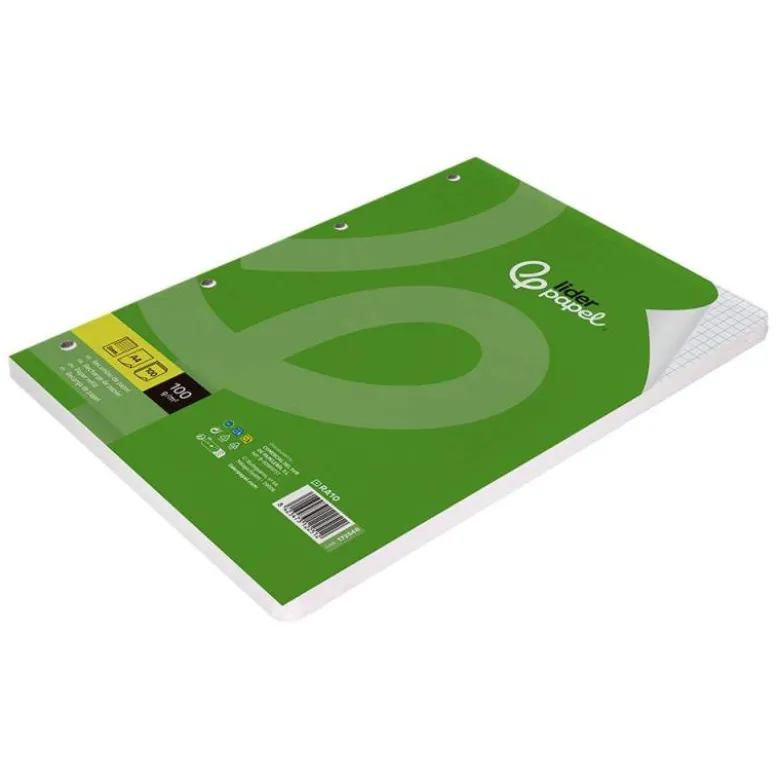 RECAMBIO LIDERPAPEL A4 100 HOJAS 100G/M2 CUADRO 5 MM CON MARGEN 4 TALADROS