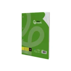 RECAMBIO LIDERPAPEL A4 100 HOJAS 100G/M2 CUADRO 5 MM CON MARGEN 4 TALADROS