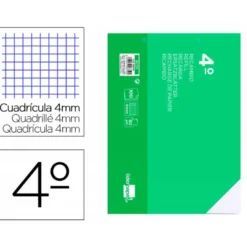 Recambio liderpapel cuarto apaisado 100 h 2tca-01 cuadro 4 mm 2 taladros con margen