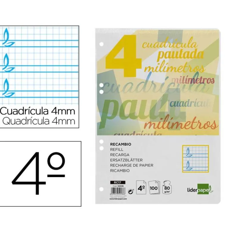 Recambio Liderpapel cuarto cuadriculado 4mm
