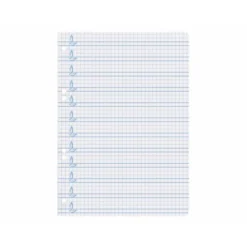 Recambio Liderpapel cuarto cuadriculado 4mm