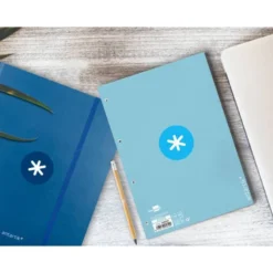 RECAMBIO LIDERPAPEL DIN A4 ANTARTIK 80 HOJAS 90G/M2 CUADRO 5MM 4 TALADROS 1 BANDA CON MARCO COLOR CELESTE