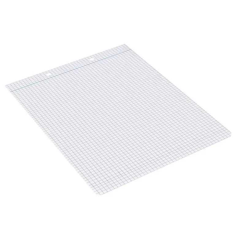 RECAMBIO LIDERPAPEL DIN A5 APAISADO 100 HOJAS 75 GR CUADRO 4 MM 2 TALADROS CON MARGEN