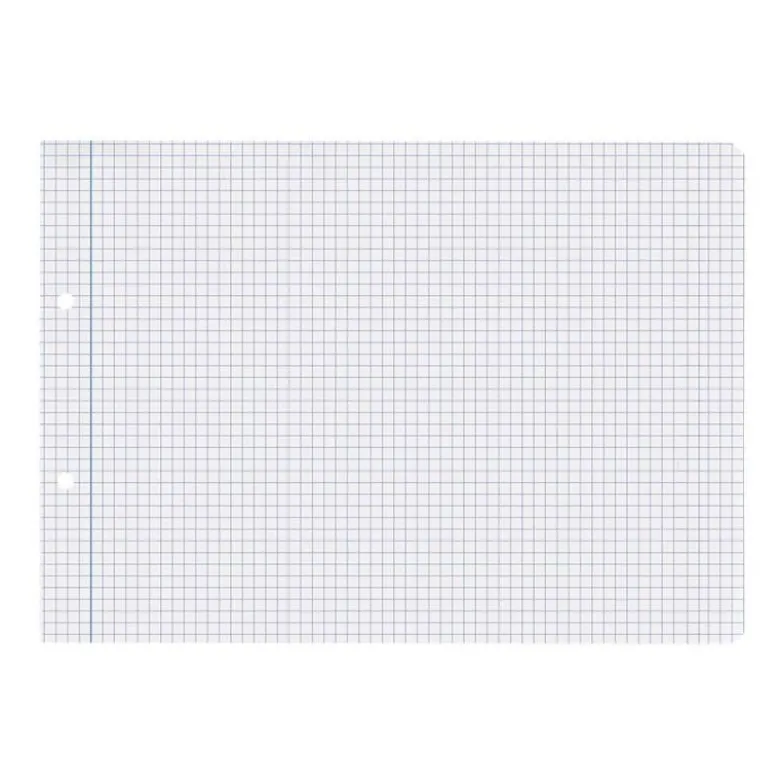 RECAMBIO LIDERPAPEL DIN A5 APAISADO 100 HOJAS 75 GR CUADRO 4 MM 2 TALADROS CON MARGEN