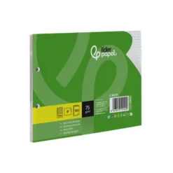 RECAMBIO LIDERPAPEL DIN A5 APAISADO 100 HOJAS 75 GR CUADRO 4 MM 2 TALADROS CON MARGEN