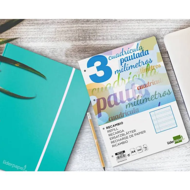 Recambio Liderpapel DIN A4 80g cuadriculado pautado 3 mm
