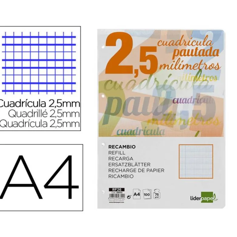 Recambio Liderpapel DIN A4 80 gr cuadricula pautada 2,5 mm