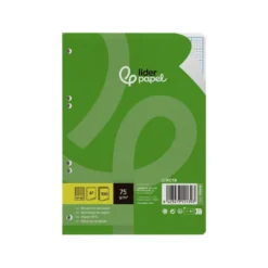 RECAMBIO LIDERPAPEL DIN A5 100 HOJAS 75 GR RAYADO N 46 6 TALADROS