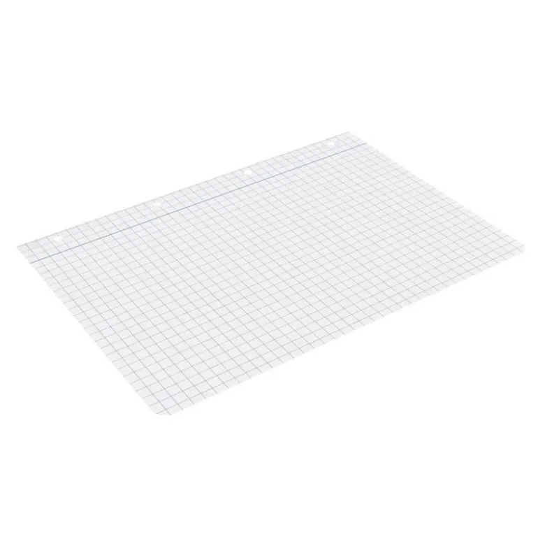 RECAMBIO LIDERPAPEL DIN A4 100 HOJAS 75 GR CUADRO 8 MM CON MARGEN 4 TALADROS